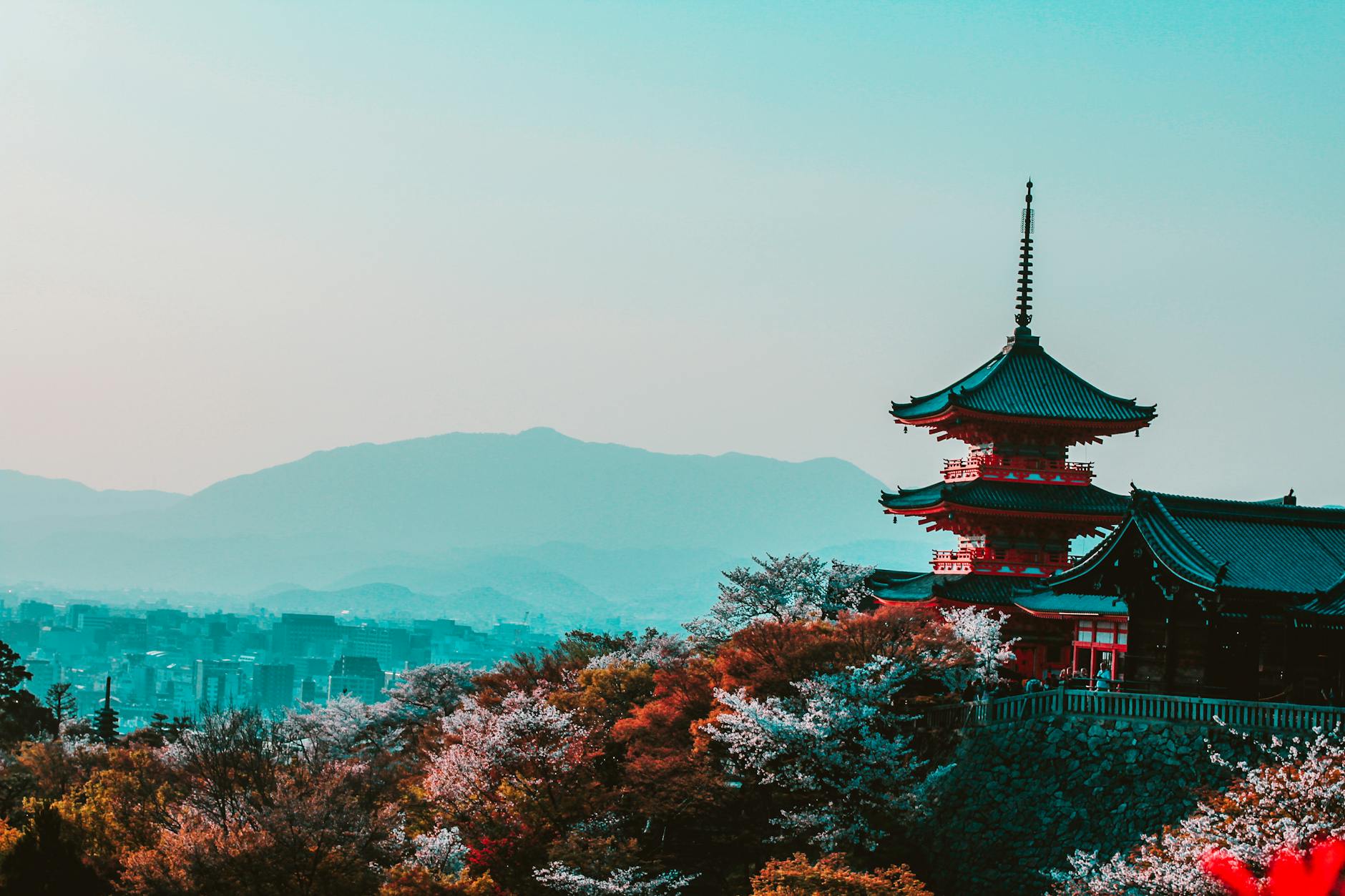 The Japanese Yen in 2024: Navigating Volatility and Policy Divergence